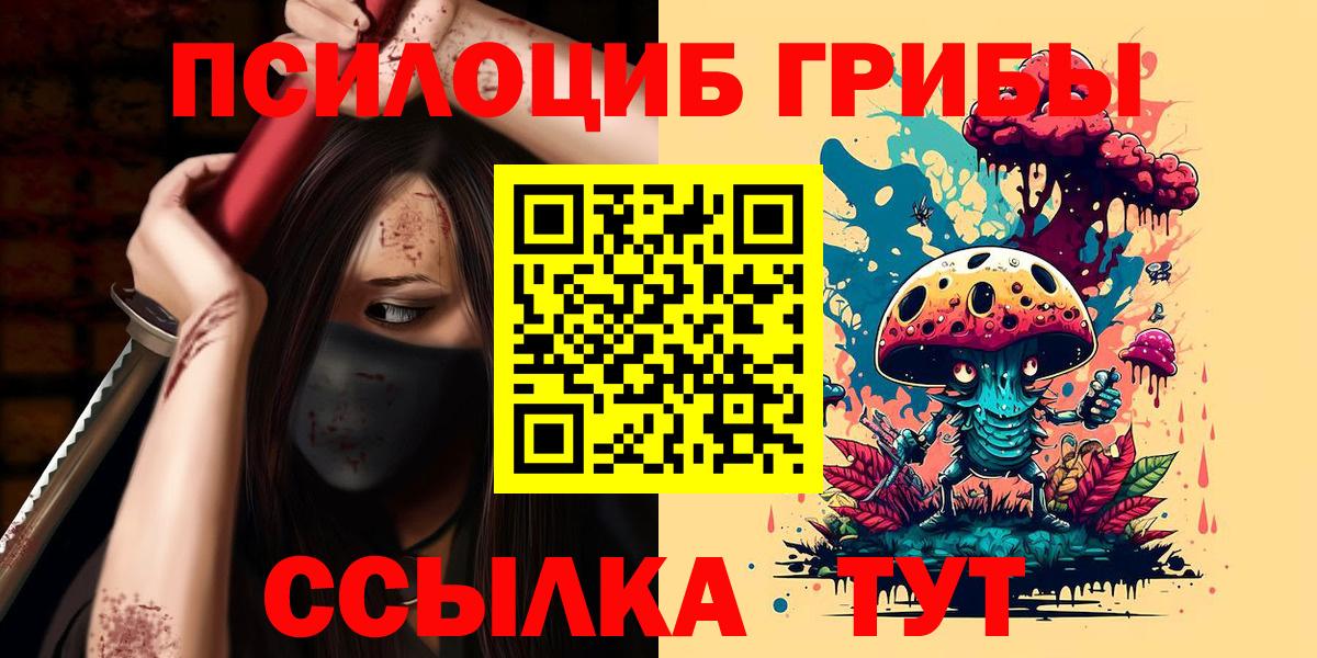 Балахна  Псилоцибиновые грибы ЛСД  Псилоцибиновые грибы мицелий  Вход с VPN 